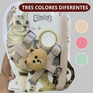Arnes Y Correa Para Gato