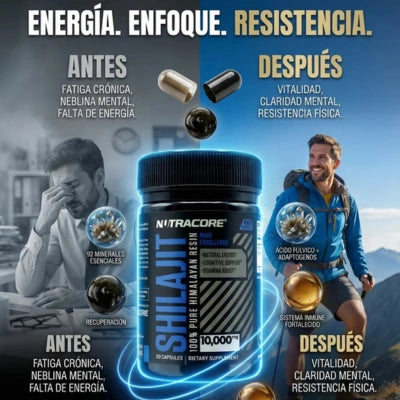 Encabezado
