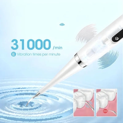 DentClean Pro